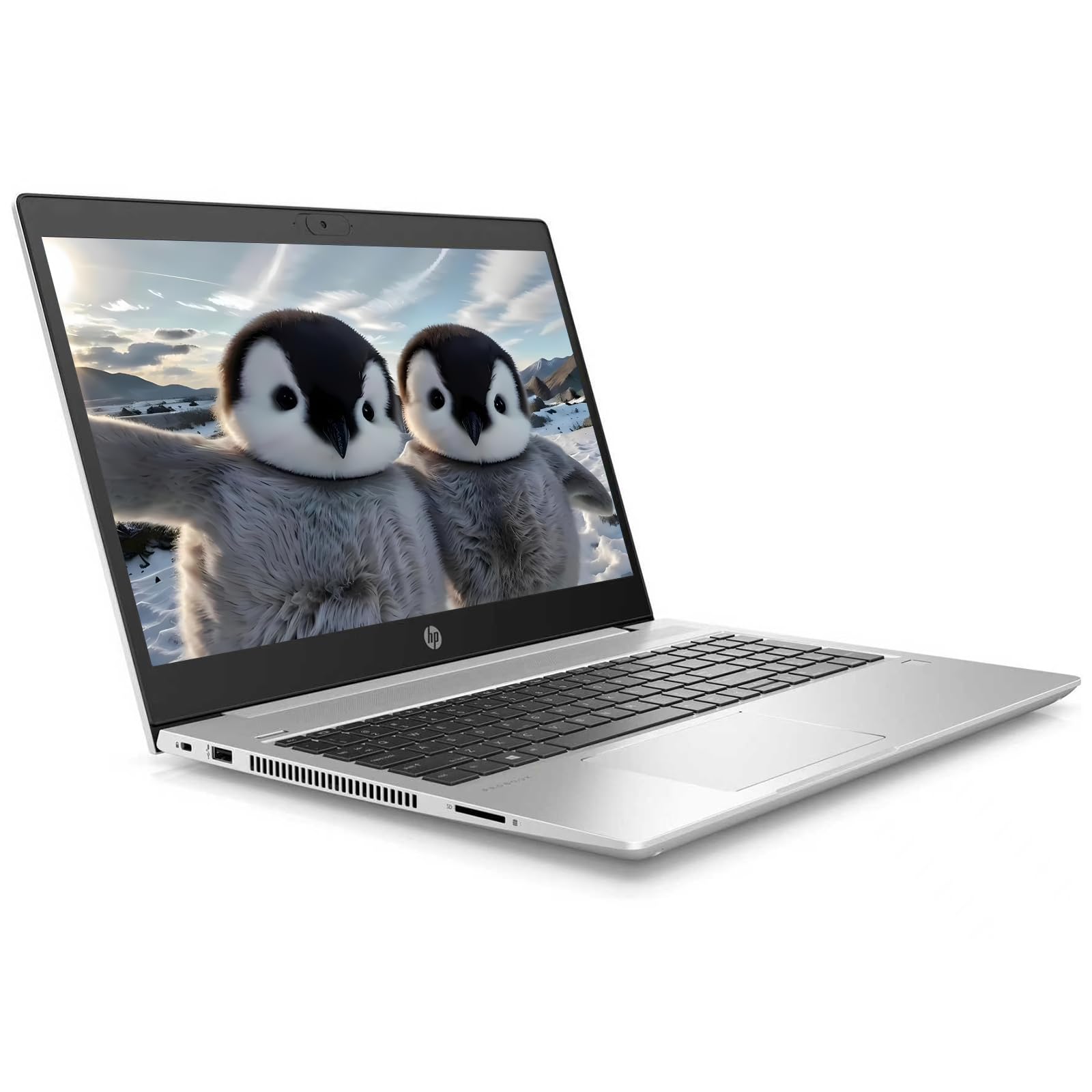 Amazon.com: HP ProBook 450 G7 Laptop, 15.6